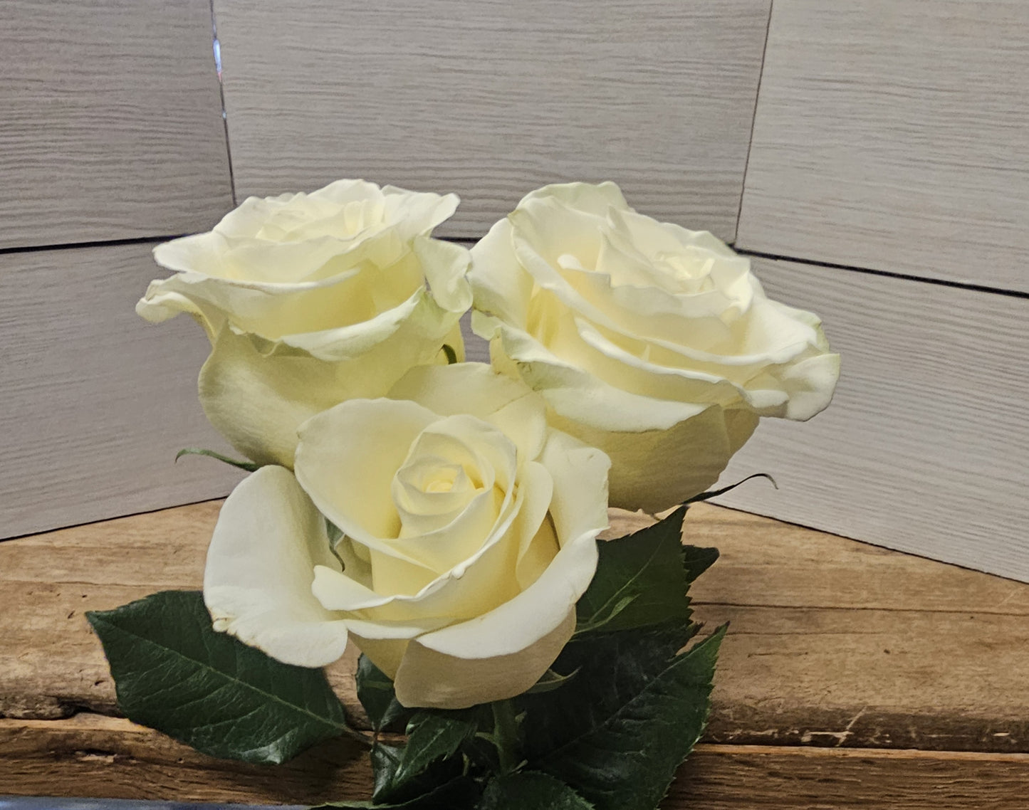 Classic Dozen Roses in a Vase