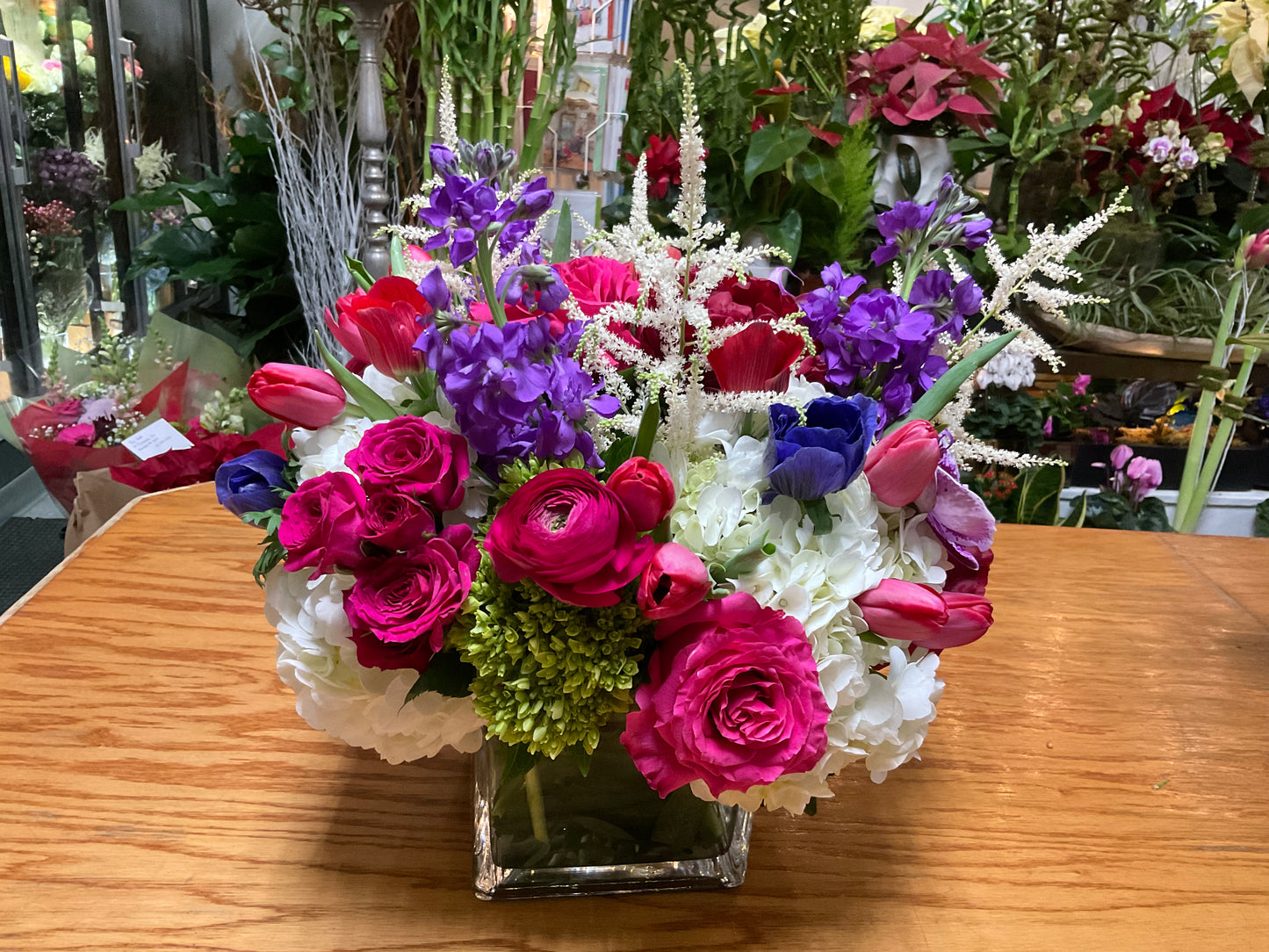 Dazzling Blooms