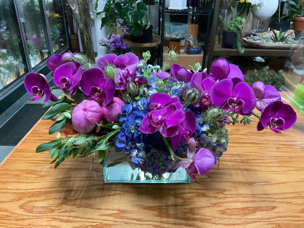 Purple Majesty