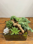 Succulents in Glass Container with Wooden Bog
