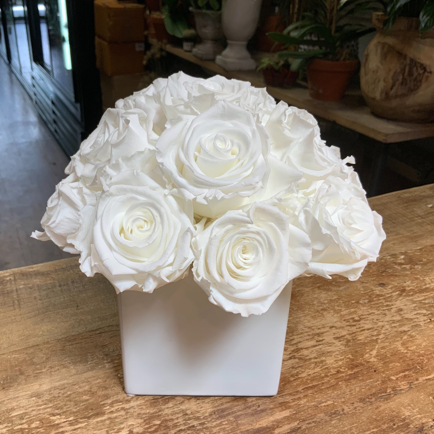 15 Preserved Roses in White Glass Cube White