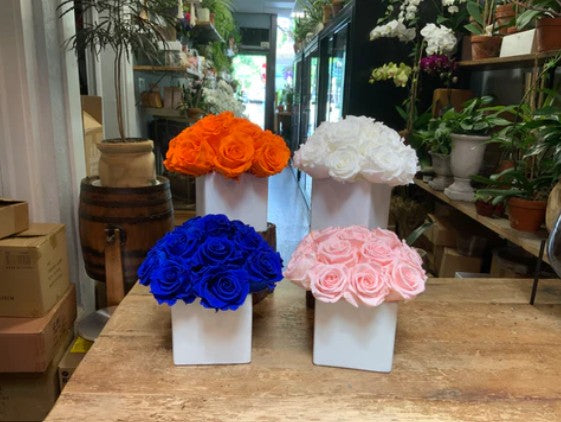 Preserved Roses
