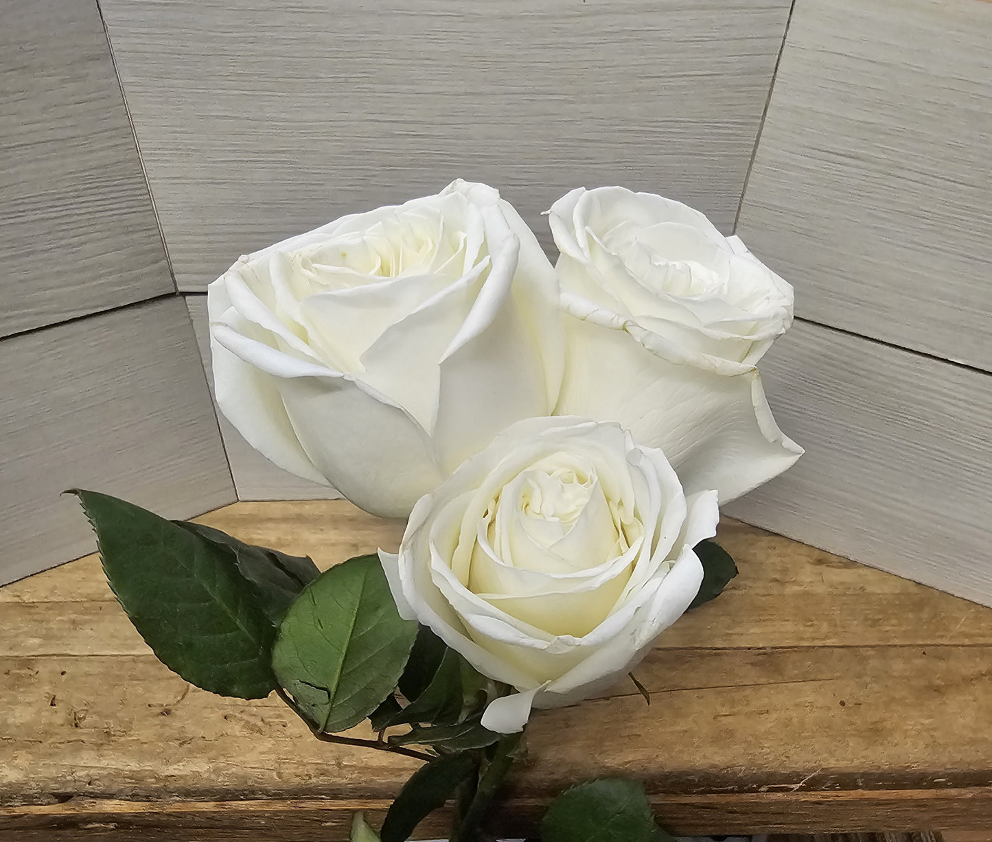 Classic Dozen Roses in a Vase