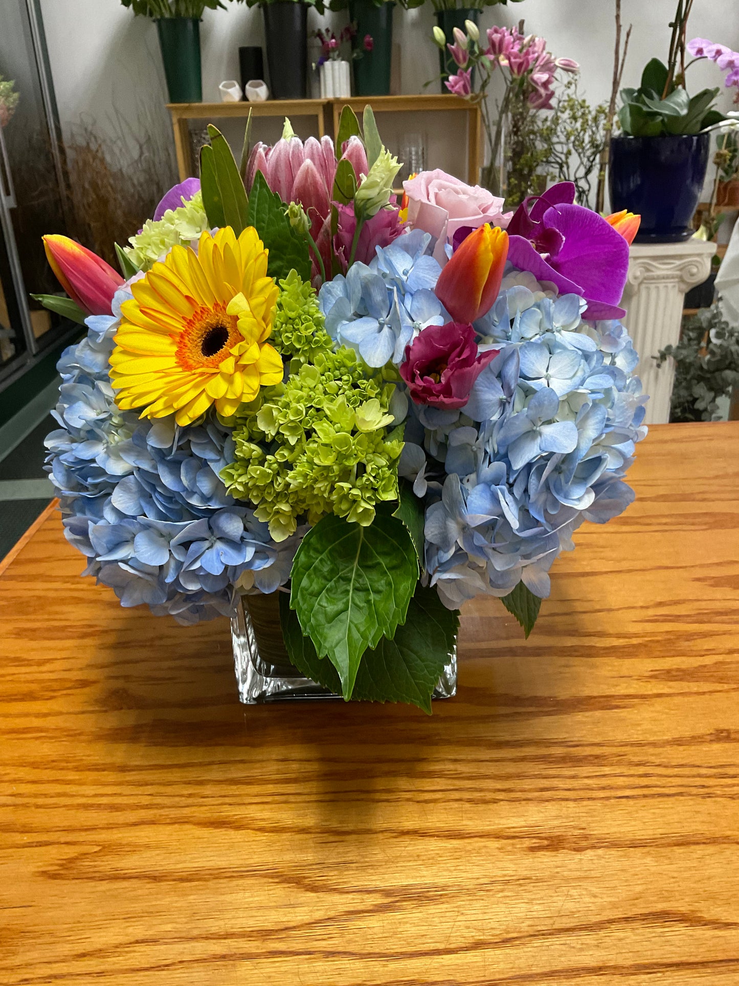 Awakening Blooms