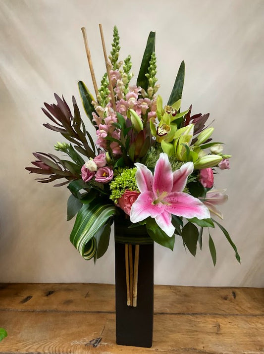 Hollywood Blooms