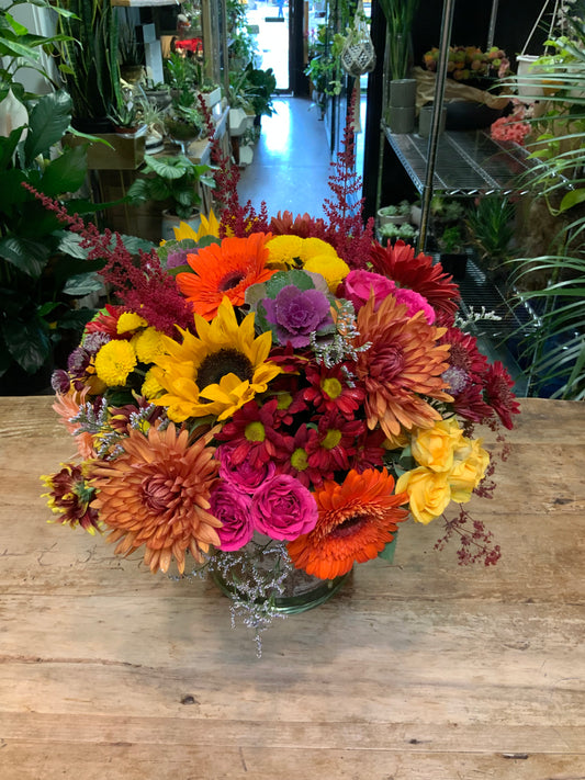 Burst of Autumn