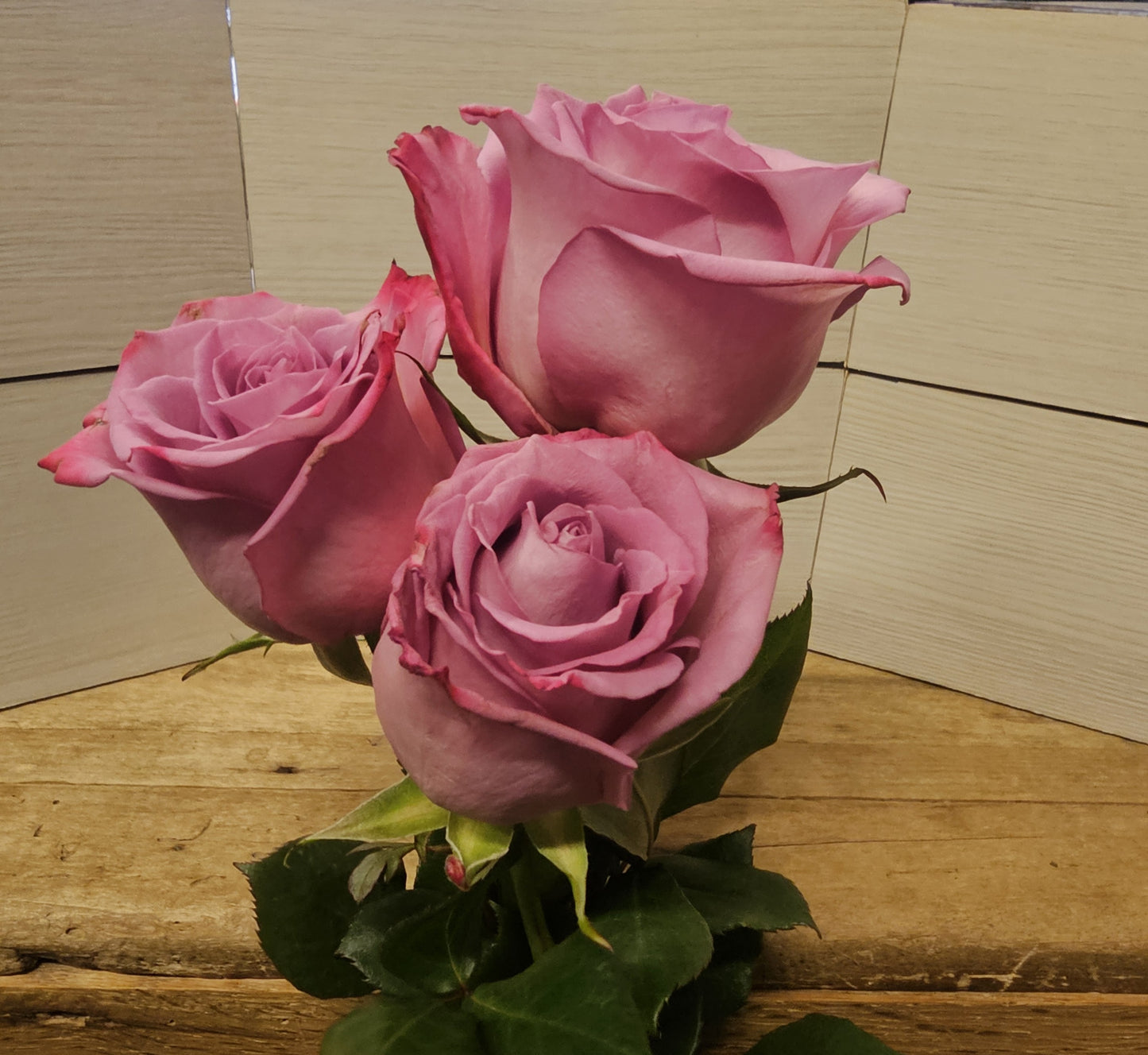 Classic Dozen Roses in a Vase