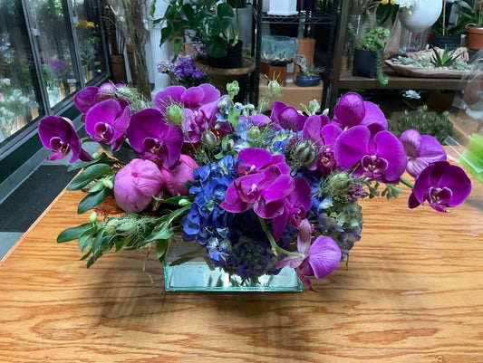 Purple Majesty