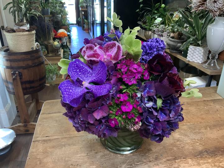 Purple Passion