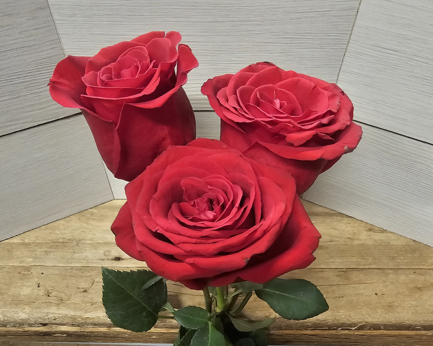 Classic Dozen Roses in a Vase