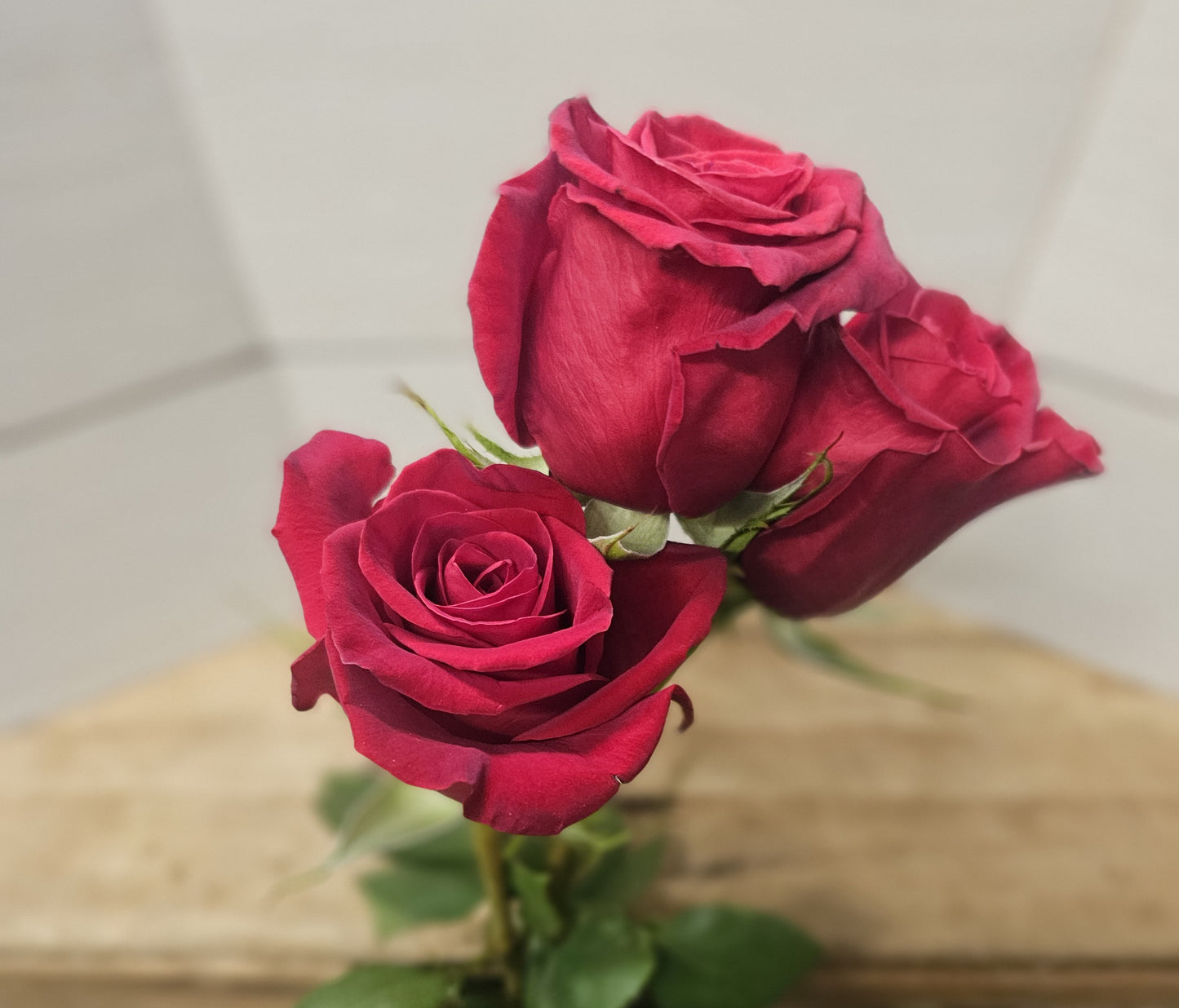 Classic Dozen Roses in a Vase