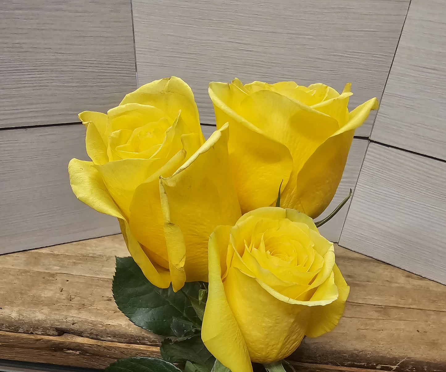 Classic Dozen Roses in a Vase