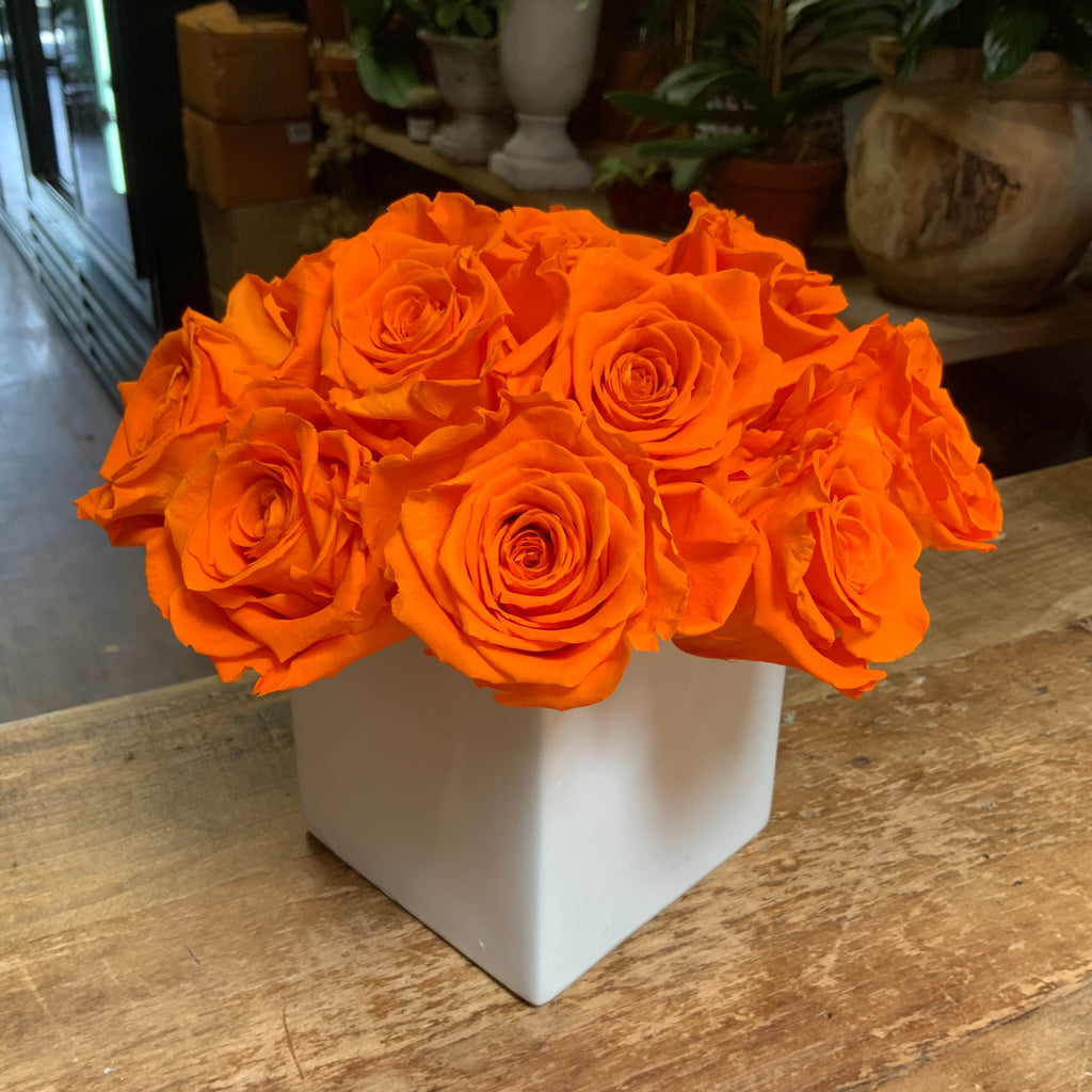 15 Orange Preserved Roses in White Ceramic Cube