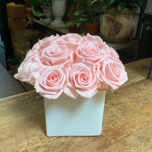 15 Pink Preserved Roses in White Ceramic Cube