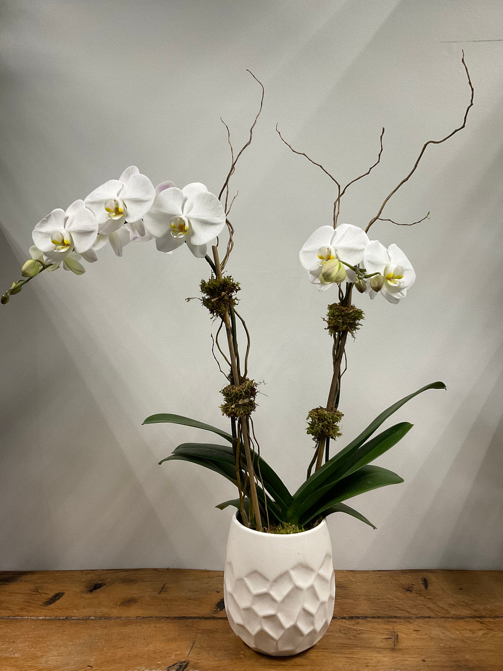 Double White Orchid in White Ceramic Vase