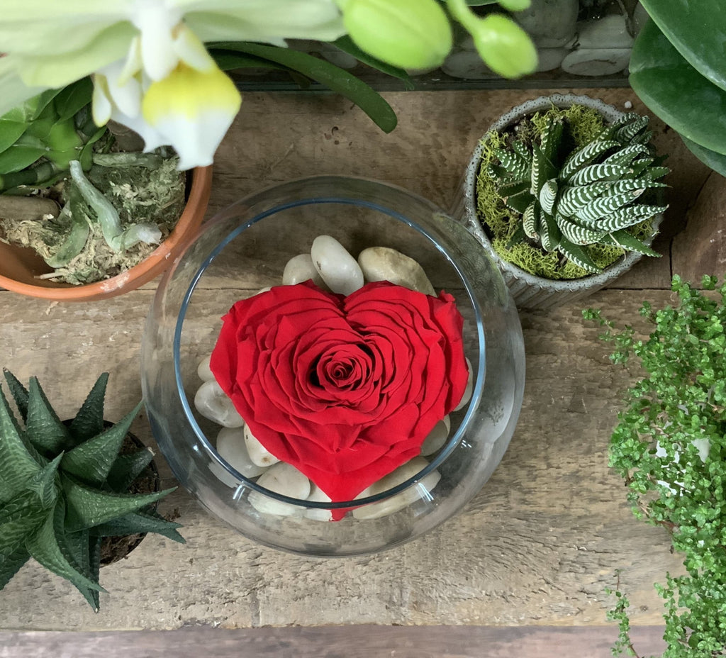 Large Red Heart in Glass Bowl