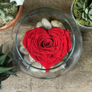 Large Heart-Shaped Rose in Glass Vase