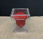 Single Red Rose in Acrylic Keepsake Box