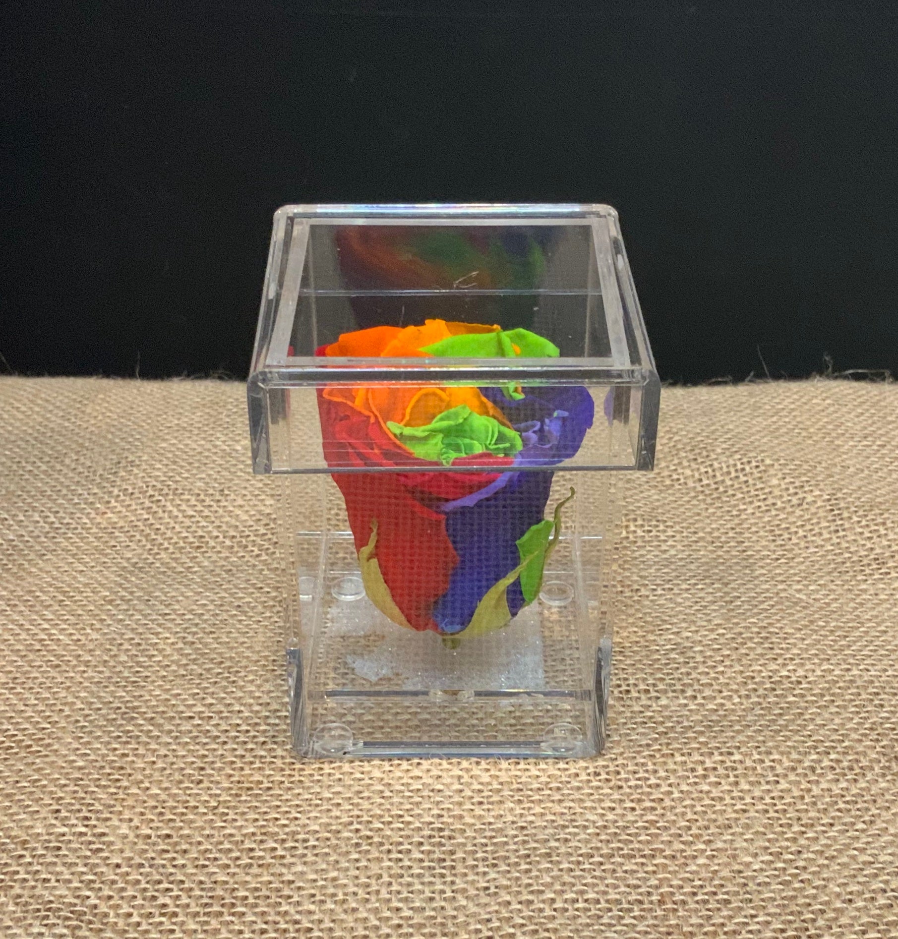 Single Rainbow Rose in Acrylic Keepsake Box