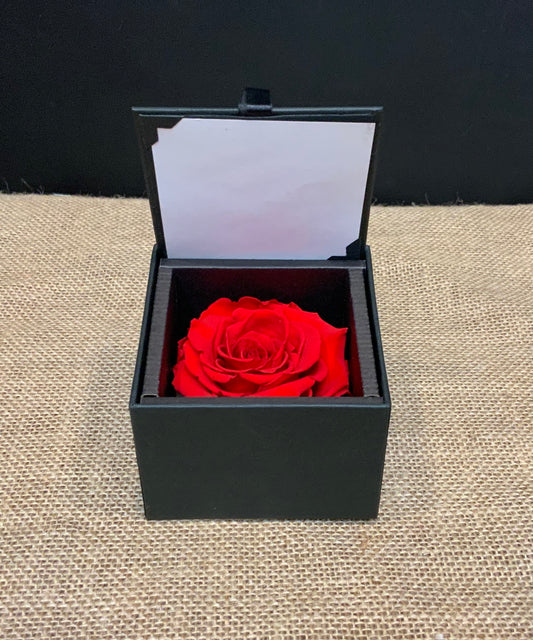 Single Rose in Black Keepsake Box