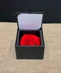 Single Rose in Black Keepsake Box
