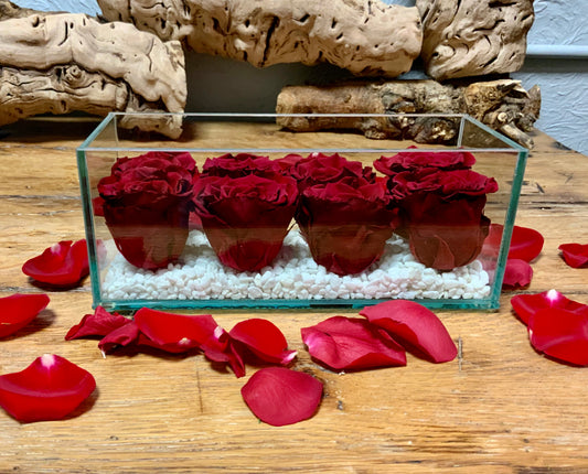 8 Preserved Roses in a Glass Rectangular Vessel