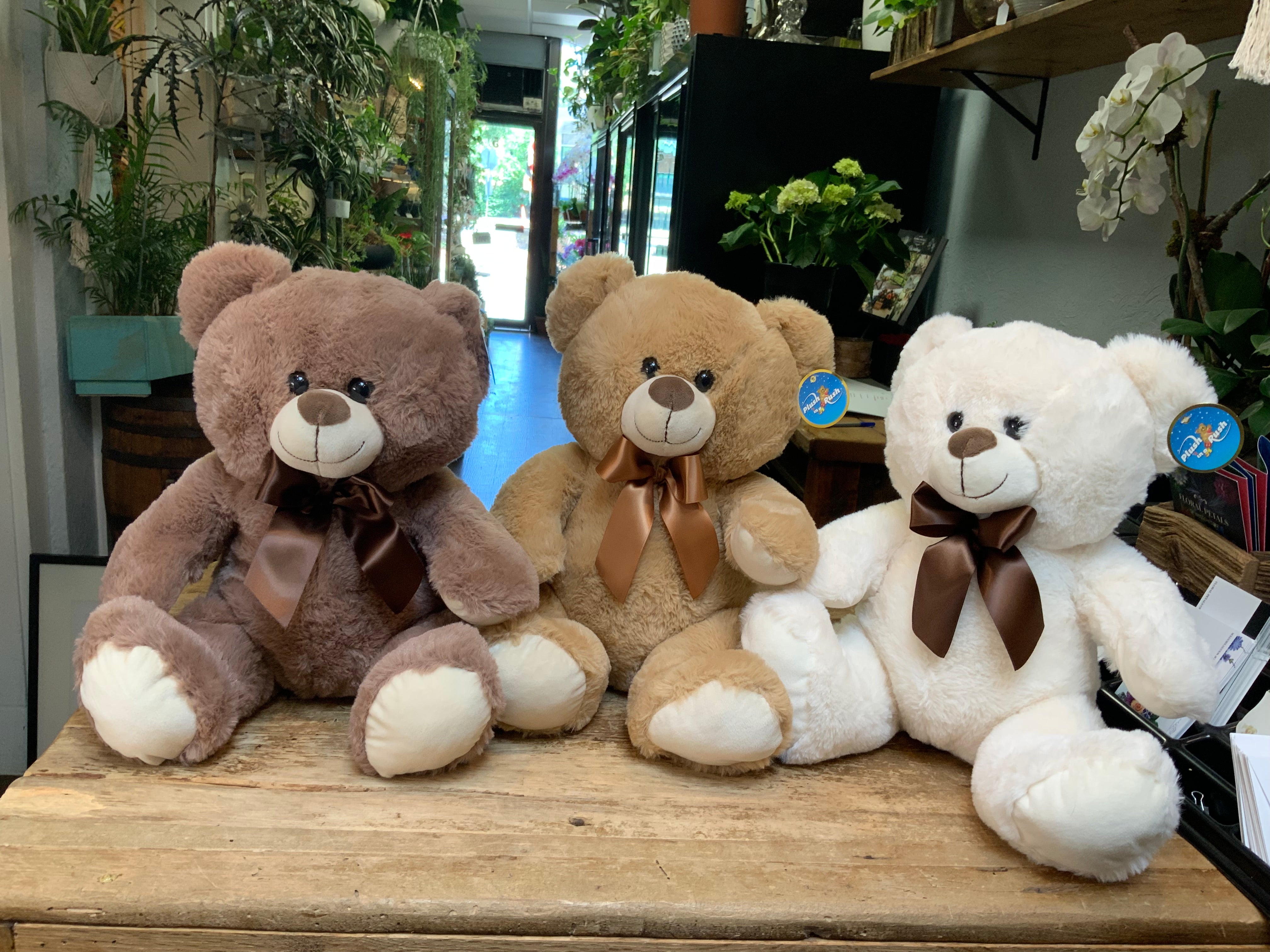 Cuddly Soft-Plush Teddy Bears