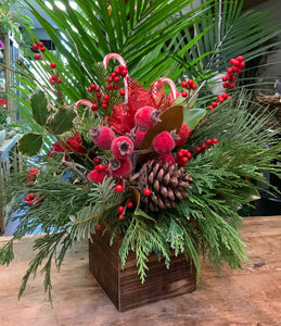 Candy Cane Lane- Christmas Greens with Pinecones, Berries and Magnolia Leaves in a Wooden Container