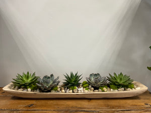 Large Succulents in Wooden Trough