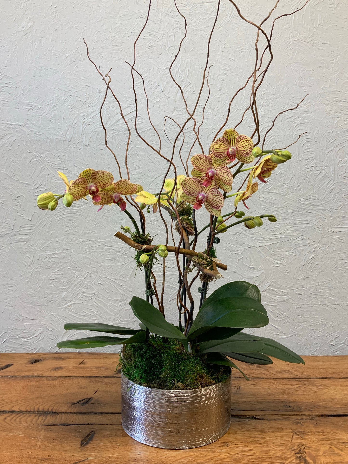 Orchid-triple