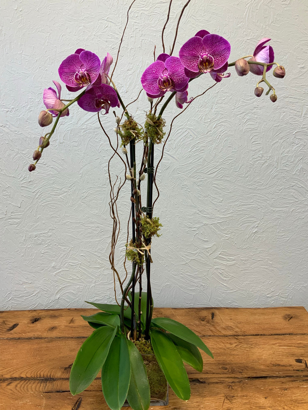 Purple Orchid-double in a Glass Container