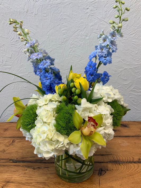 Delphinium Dreams