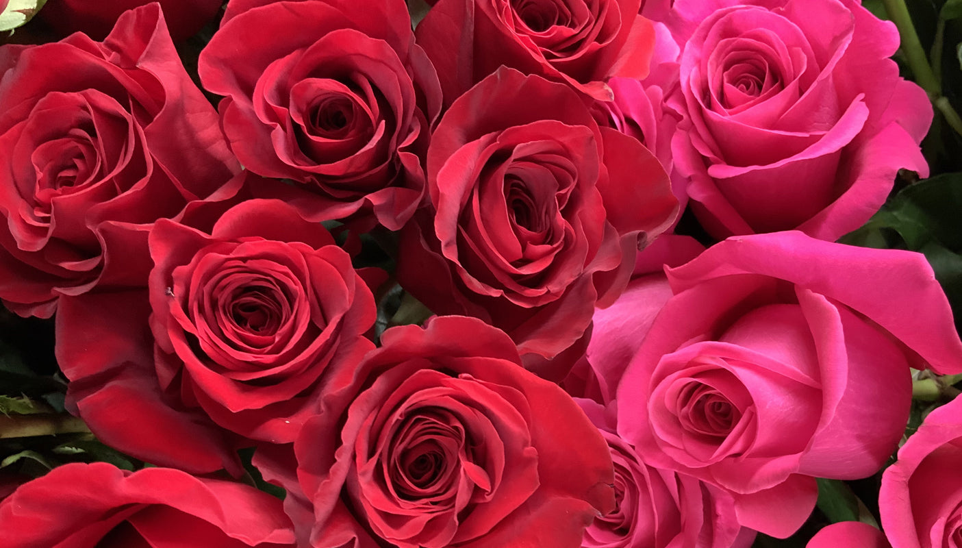 3 Dozen Roses in a Vase